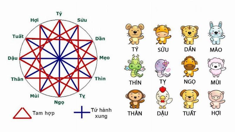 Hình ảnh Tam hợp là gì? Tìm hiểu tự hành xung & tam hợp trong phong thủy