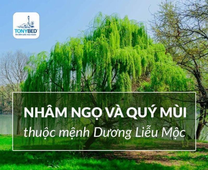 Người sinh năm Nhâm Ngọ và Quý Mùi đều thuộc mệnh Dương Liễu Mộc