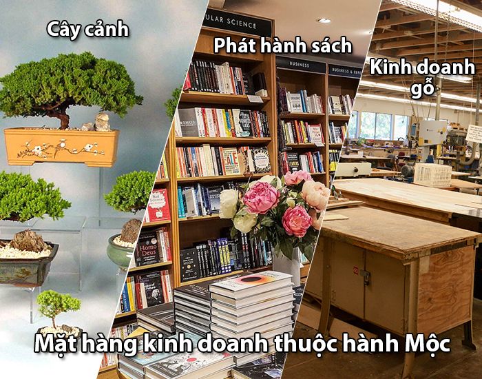 nguoi tuoi binh dan kinh doanh gi 2