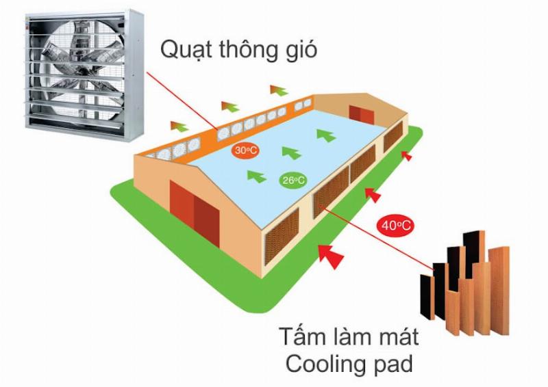 Tấm làm mát cooling pad và quạt công nghiệp