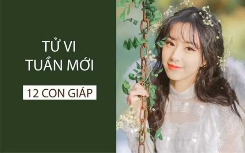 Tử vi tuần mới 12 con giáp từ 24/6 - 30/6/2024: Mùi may mắn, Hợi vừa hung vừa cát