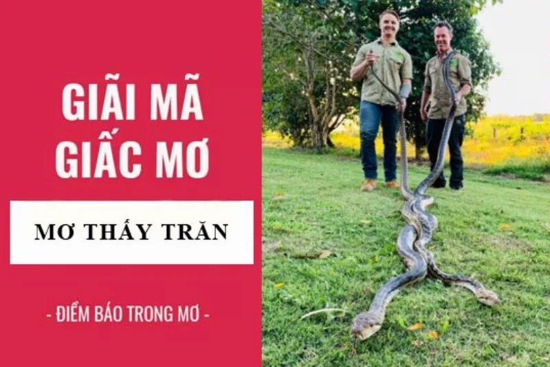 giai ma giac mo nam mo thay tran 2019 12 06 f0ee1f05