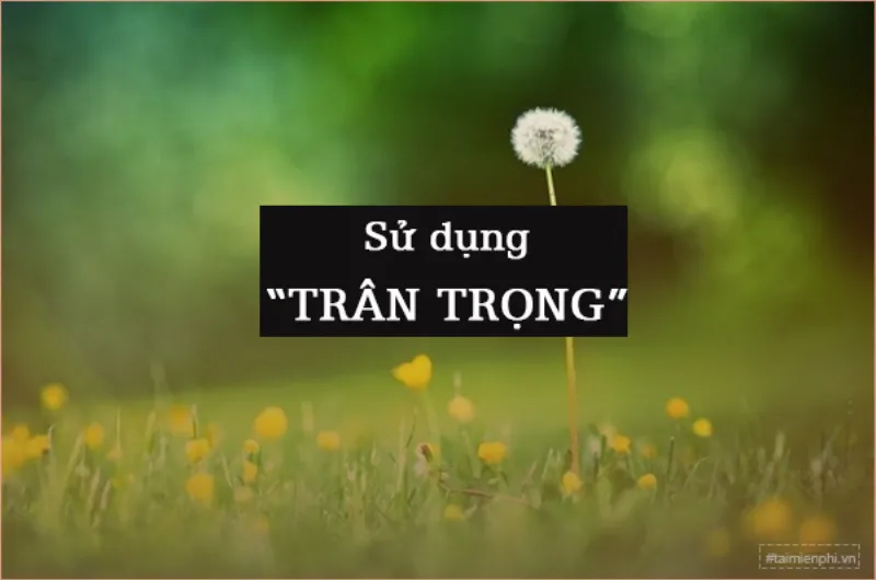 chan trong hay tran trong 1 dbd685f2 1