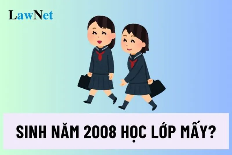 Năm 2024, học sinh sinh năm 2008 học lớp mấy?