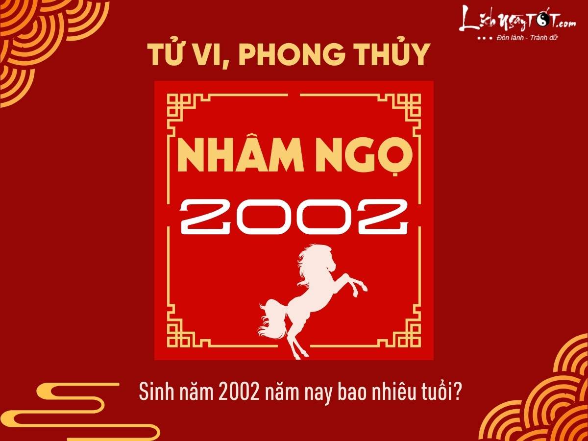 sinh nam 2002 nam nay bao nhieu tuoi