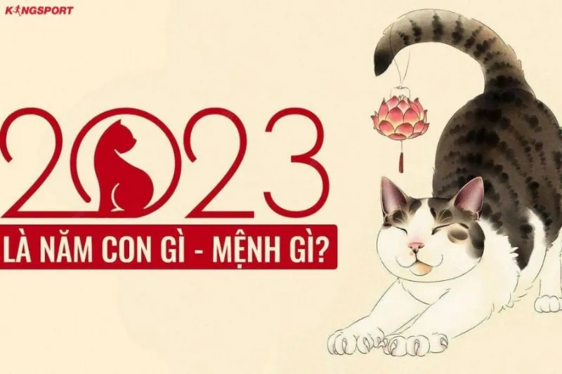 Tết 2023 năm con gì