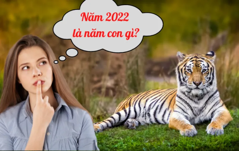 Năm 2022 là năm con Hổ