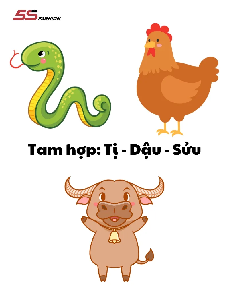 Tuổi hợp Quý Tỵ