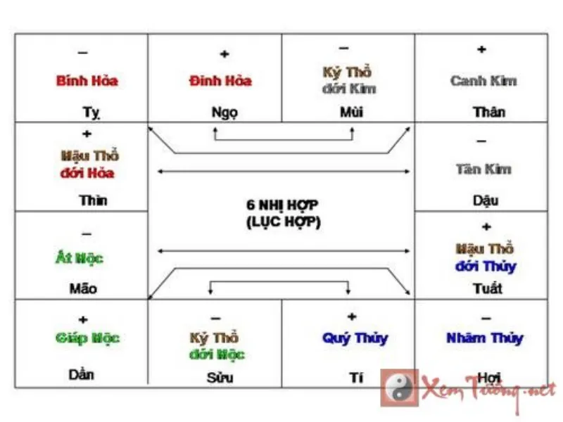 Lục hợp là gì?