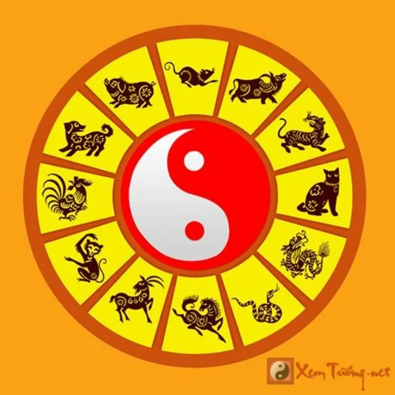 Tam hợp là gì?